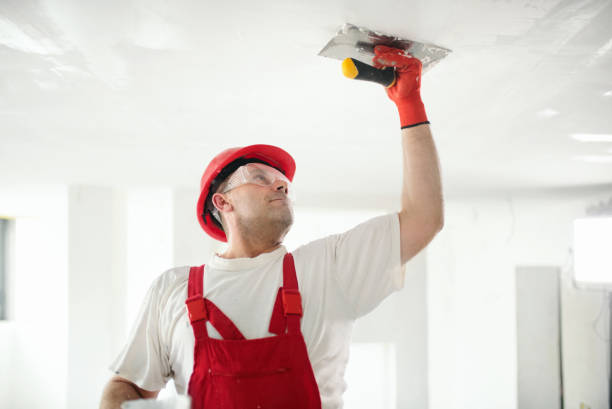 Mold Remediation for Vacation Homes in Fuquay Varina, NC